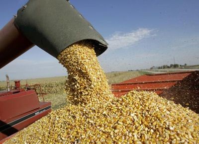 CARBAP rechaza la intervención al mercado del maíz y se declara en alerta y movilización