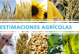 Agricultura lanzó la Estimación de campaña de la cosecha gruesa 2020/21