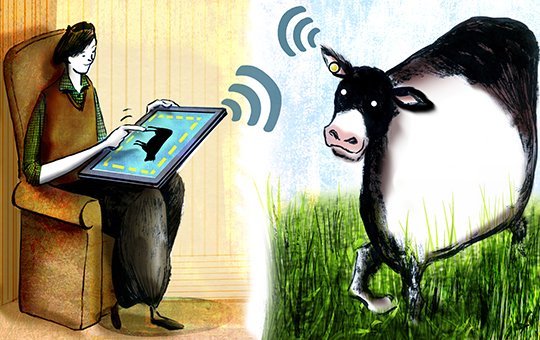 Desarrollan un cerco virtual para pastoreo intensivo