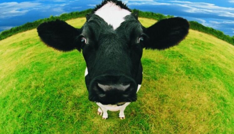 Derribando el mito de las Vacas: Acá están los principales responsables de Emisiones de Gases de Efecto Invernadero