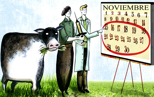 ¿Por qué este año es clave desparasitar en noviembre?