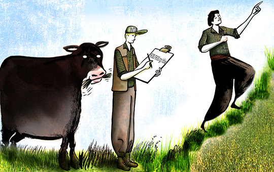 Caso: maneja la ganadería pastoril como la agricultura