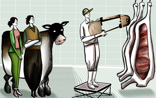 Cuánto pierde la ganadería por la comercialización en medias reses
