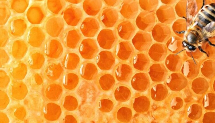 Los apicultores se sienten discriminados por las medidas del Gobierno Nacional