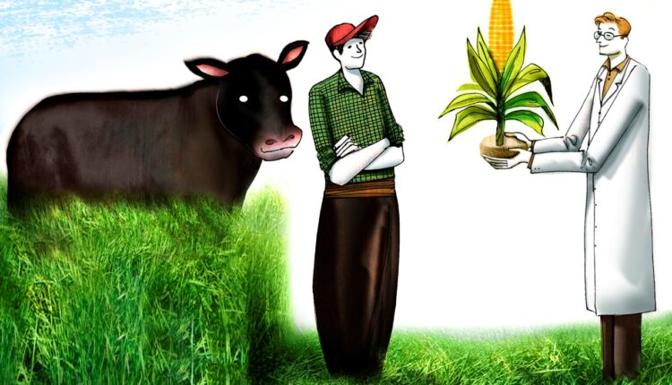 Científicos del USDA siguen buscando sistemas sustentables