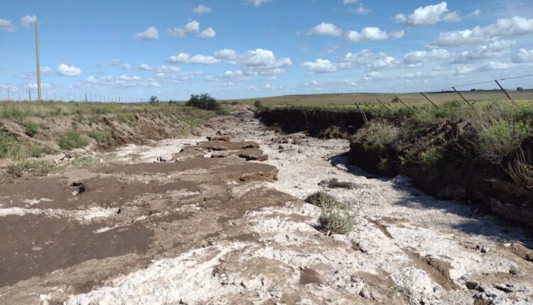Donaciones por Plan Medio Quintal: todos por Bahía