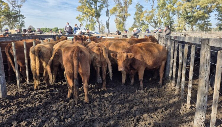 La sana costumbre mensual de los Arzoz