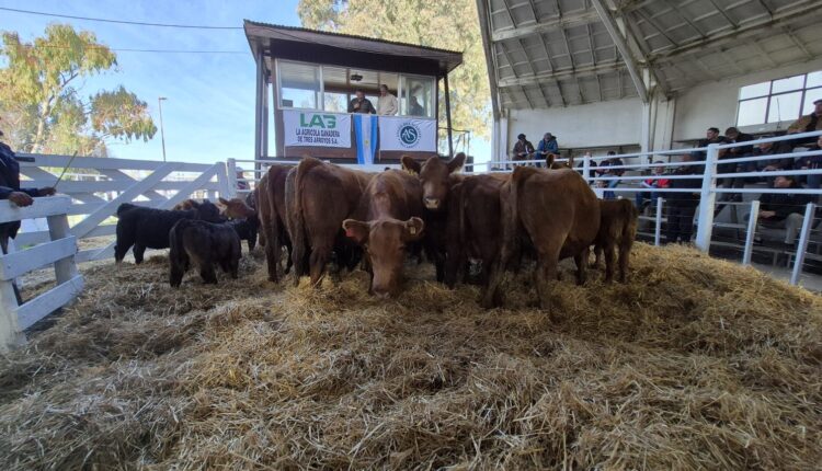 Angus del Sudeste y un remate que invita a seguir creciendo