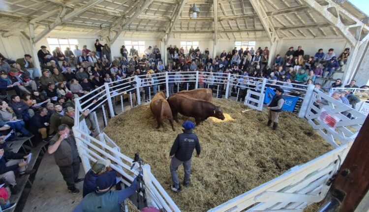 La tarde de Tres Arroyos tuvo su novena sinfonía