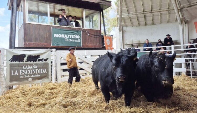 En Tres Arroyos nadie escondió las manos