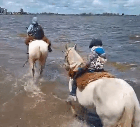 Sembrando Desigualdad De Oportunidades