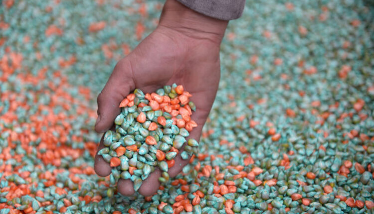 La emisión de Warrants fue récord interanual en los primeros 10 meses del año con un crecimiento de 102% en dólares y 69% en pesos