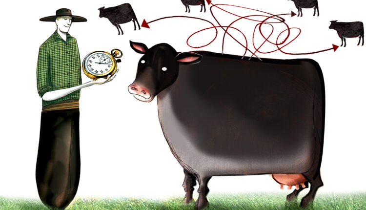 Madres del Futuro, negocio del presente