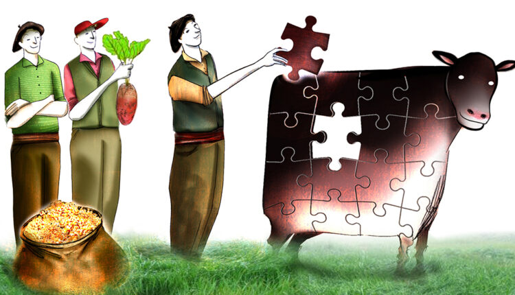 Reingeniería. Multiplican por 15 su producción de carne en seis años