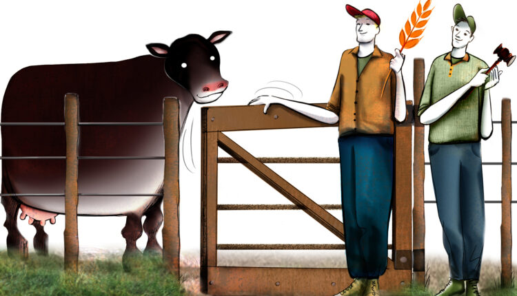 Outsiders ¿Entrar a la ganadería con precios altos?