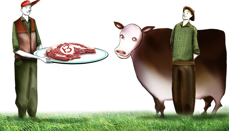 Innovación: desarrollan un índice de calidad de carne