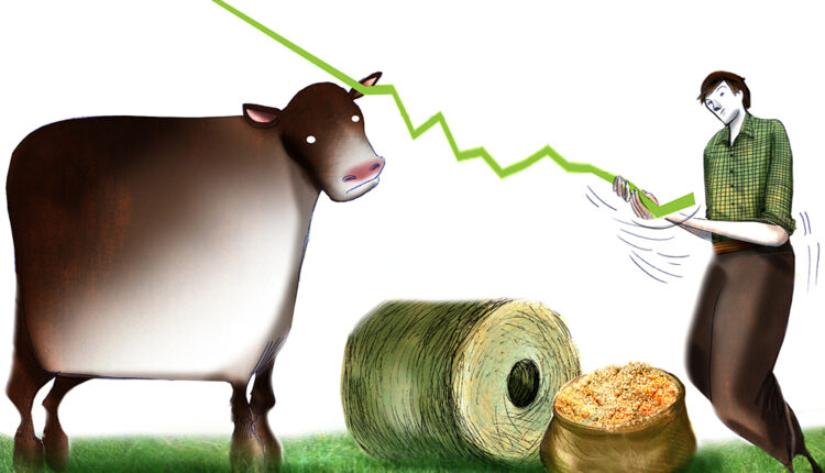 Nueva baja del stock argentino ¿Piso para una nueva etapa?