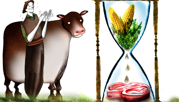 ¿Qué hacer para incrementar el marmoreo a campo?